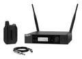 SHURE Wireless Microphone System