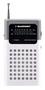 BLAUPUNKT Radio Grey