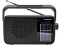 BLAUPUNKT Radio Portable Analog Black