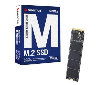 BIOSTAR M760 256 Gb M.2 Pci Express (M760-256GB)