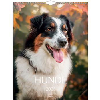 Mayland 2026 26066320 hunde vægkalender 29,5x39cm (26066320)