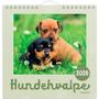 Mayland Kalender, Mayland, Hund year: 2026, assorteret, karton a 5 stk, FSC Mix Credit