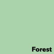 Image Coloraction Image, Coloraction, Forest/Pastel Green Kopipapir, træfri ECF, 120g/m2, 210mm x 297mm, A4, Smal bane, pakke a 250 ark FSC Mix Credit EU-miljømærke