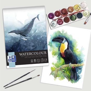 OXFORD 400167561*5 (400167561*5)