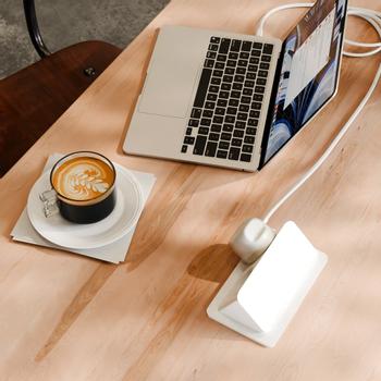 TWELVESOUTH PowerCord 1,2m - Vit/Dun (TS-25411)