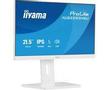 IIYAMA a ProLite XUB2293HSU-W7 - LED monitor - 22" (21.5" viewable) - 1920 x 1080 Full HD (1080p) @ 100 Hz - IPS - 250 cd/m² - 1000:1 - 1 ms - HDMI, DisplayPort - speakers - white, matte