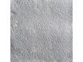 Ambiente Serviett EDELWEISS 33cm sølv (15)