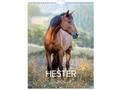 GRIEG Veggkalender GRIEG 2026 Hester