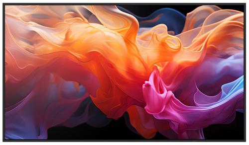 Sharp / NEC MultiSync E559 (60006183)