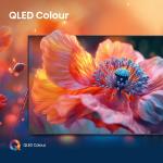 HISENSE 75E77Q 189cm 75" 4K QLED Smart (75E77Q)