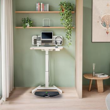 LEITZ Ergo Active Balansbräda (65870089)