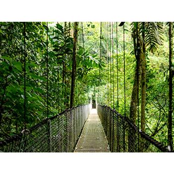 HP EB6G1I14 ULTRA7-255U 14IN 16GB 512GB PC WUXGA AGLEDUWVA UMA WEB SYST (AD3A6ET#UUW)