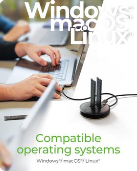 ICY BOX Docking- & klonestasjon 2x M.2 NVMe SSD, vert USB 3.2 Gen 2 Type-C® (61177)