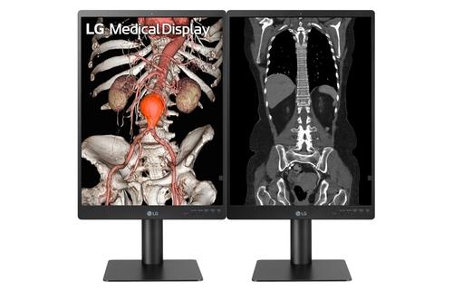 LG 21,3"" Medical 21HQ513D-S | Diagnostic Monitor | 1536x2048 | IPS | 5ms | 60Hz | 5Ã¥r | BestÃ¤llningsvara (21HQ513D-S)