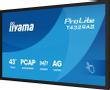 IIYAMA 43" All-In-One Interactive  (T4329AS-B1AG)