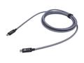 EQUIP Usb 3.2 Gen 2X2 C To C Cable,  (128428)