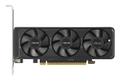 ASUS GeForce RTX 5060 8GB DUAL OC Low Profile