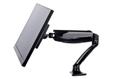 IIYAMA Flexible desk mount (DS3001C-B1)