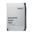 SYNOLOGY Hard drive - Enterprise - 4 