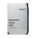 SYNOLOGY Hard drive - Enterprise - 4  (HAT5320-4T)