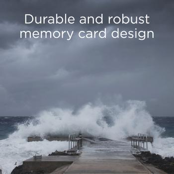 INTEGRAL 4Gb Compact Flash Memory Card  (INCF4GV2)