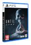 SONY Until Dawn Standard Flersproget PlayStation 5 (1000044310)