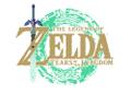 NINTENDO The Legend of Zelda  Tears of the Kingdom Standard Switch (10004522)