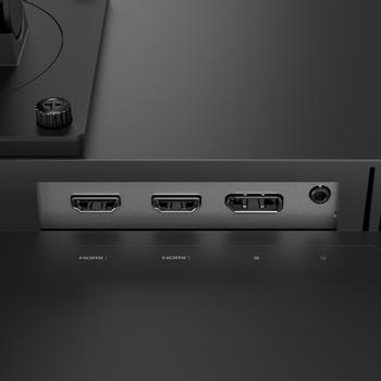 LENOVO Legion 24-10 Computer Monitor  (68C4GAC4EU)