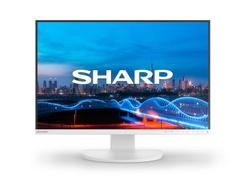 Sharp / NEC EA241W, 24" LCD Monitor, 