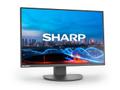SHARP EA241W, 24" LCD Monitor, 