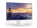 Sharp / NEC EA242W, 24" LCD Monitor, 