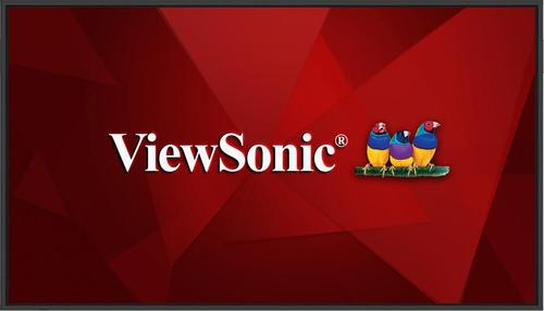 VIEWSONIC CDE75G3-1C,  65", OS-Free  (CDE75G3-1C)
