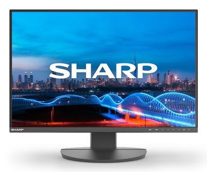 SHARP EA241W, 24" LCD Monitor,  (60006210)