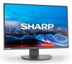 SHARP EA241W, 24" LCD Monitor,  (60006210)