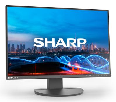 SHARP EA241W, 24" LCD Monitor,  (60006210)
