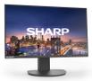 SHARP EA242F, 24" LCD Monitor, 