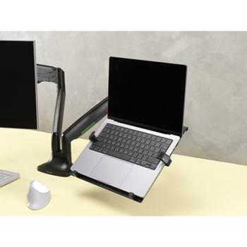 KENSINGTON Laptop Holder VESA Mount Arms (K53801WW)