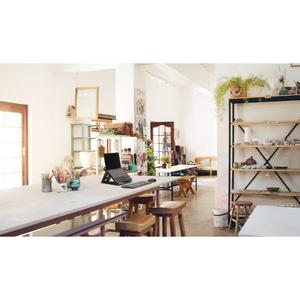 KENSINGTON SmartFit® Easy Riser™ laptop riser 12-17" (K52788WW)