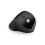KENSINGTON Ergo Vertical Wireless Mouse (K75501EU)