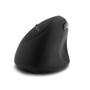 KENSINGTON Pro Fit Ergo Wireless Mouse (K79810WW)