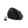 KENSINGTON Pro Fit Ergo Wireless Mouse (K79810WW)