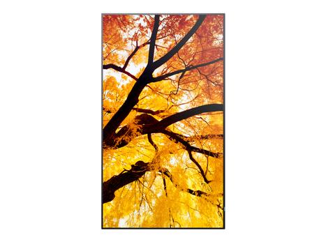 SHARP Sharp/NEC MultiSync M322 (60006052)