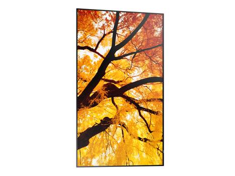 SHARP Sharp/NEC MultiSync M322 (60006052)