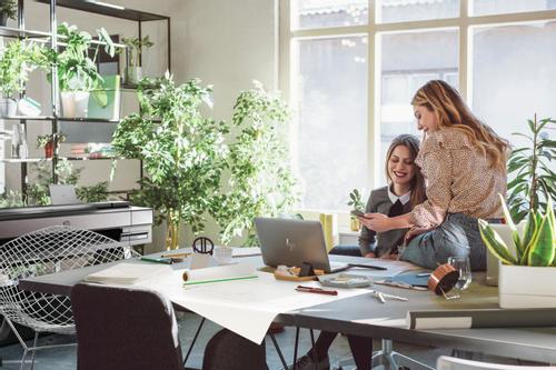 HP Designjet T850 36-In Printer (2Y9H0A)