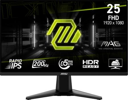 MSI Computer Monitor 62.2 Cm  (MAG 255F E20)