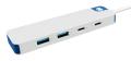 TARGUS HyperDrive Flex 4 Port USB-C Combo Hub (HD5200BUGL)