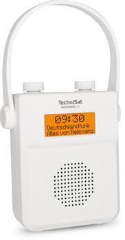 TECHNISAT Digitradio 30 - V2 Portable  (0010/3955)