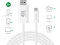 4smarts USB-C auf Display Port Kabel 2