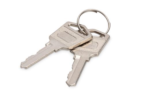 DIGITUS Key for charging cabinets. 2 pieces DN-45000. DN-45002. DN-45005 (DN-45000-KEY)