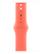APPLE WATCH 42 TANGERINE SB M/L